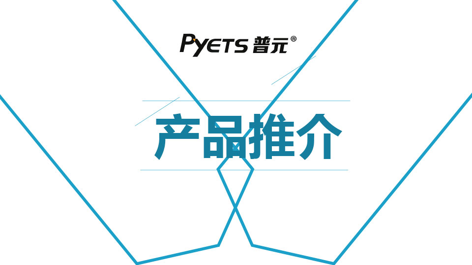 Pyets Electronic Promotion Handbook 2024.pdf